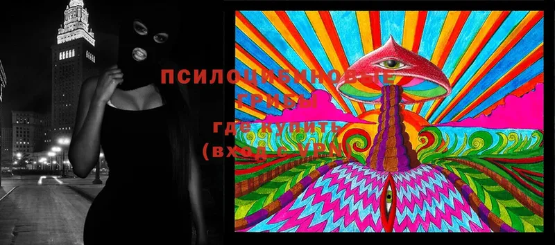 Псилоцибиновые грибы MAGIC MUSHROOMS  MEGA рабочий сайт  Ковылкино 